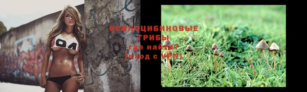 СК Козловка