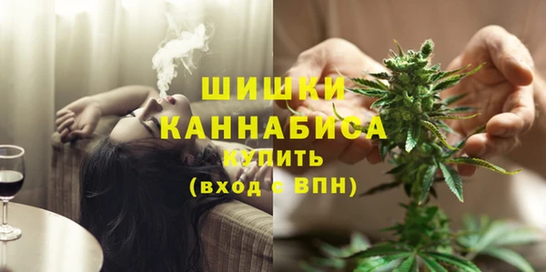 индика Костерёво