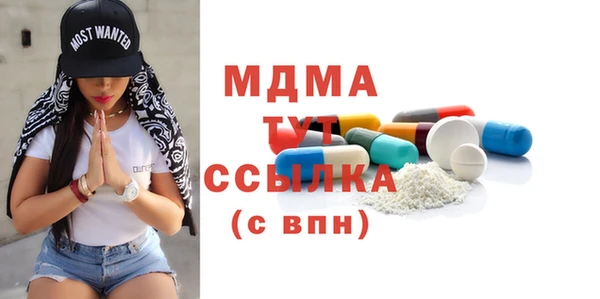 индика Костерёво