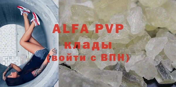 индика Костерёво