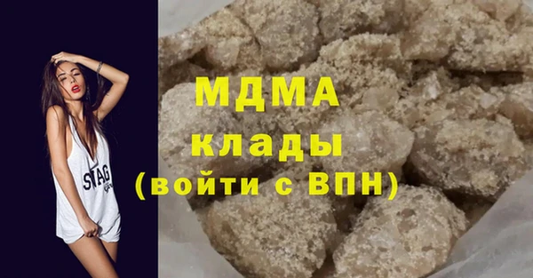 индика Костерёво