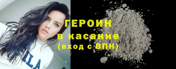 индика Костерёво